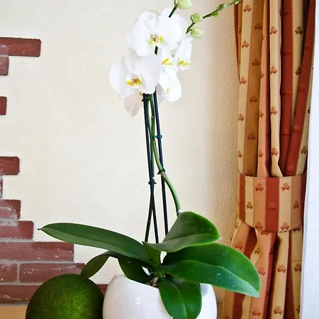 The - Himmlisch Wohlfuehlen מלון 4*